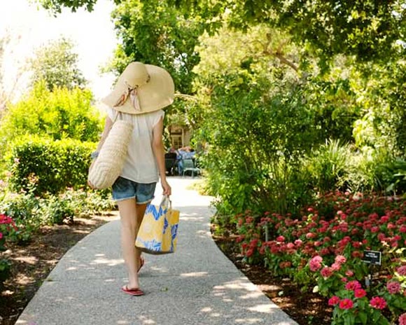 A Stroll Through The Huntington