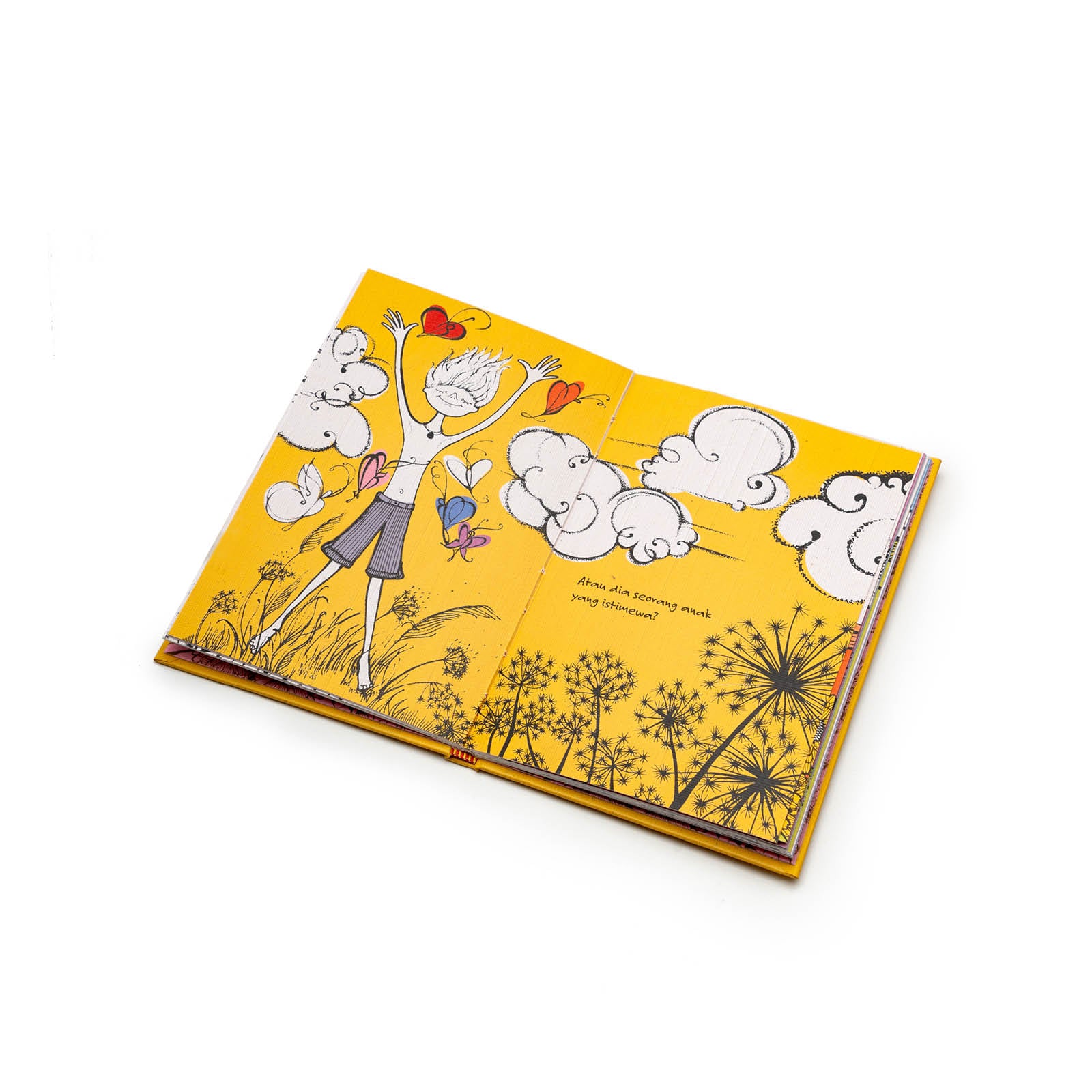 Book of Les Papillons de Victor