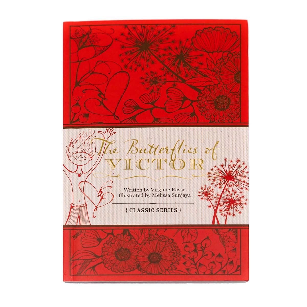 Book of Les Papillons de Victor in English