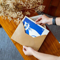 Large Postcard Set