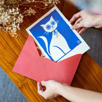 Large Postcard Set